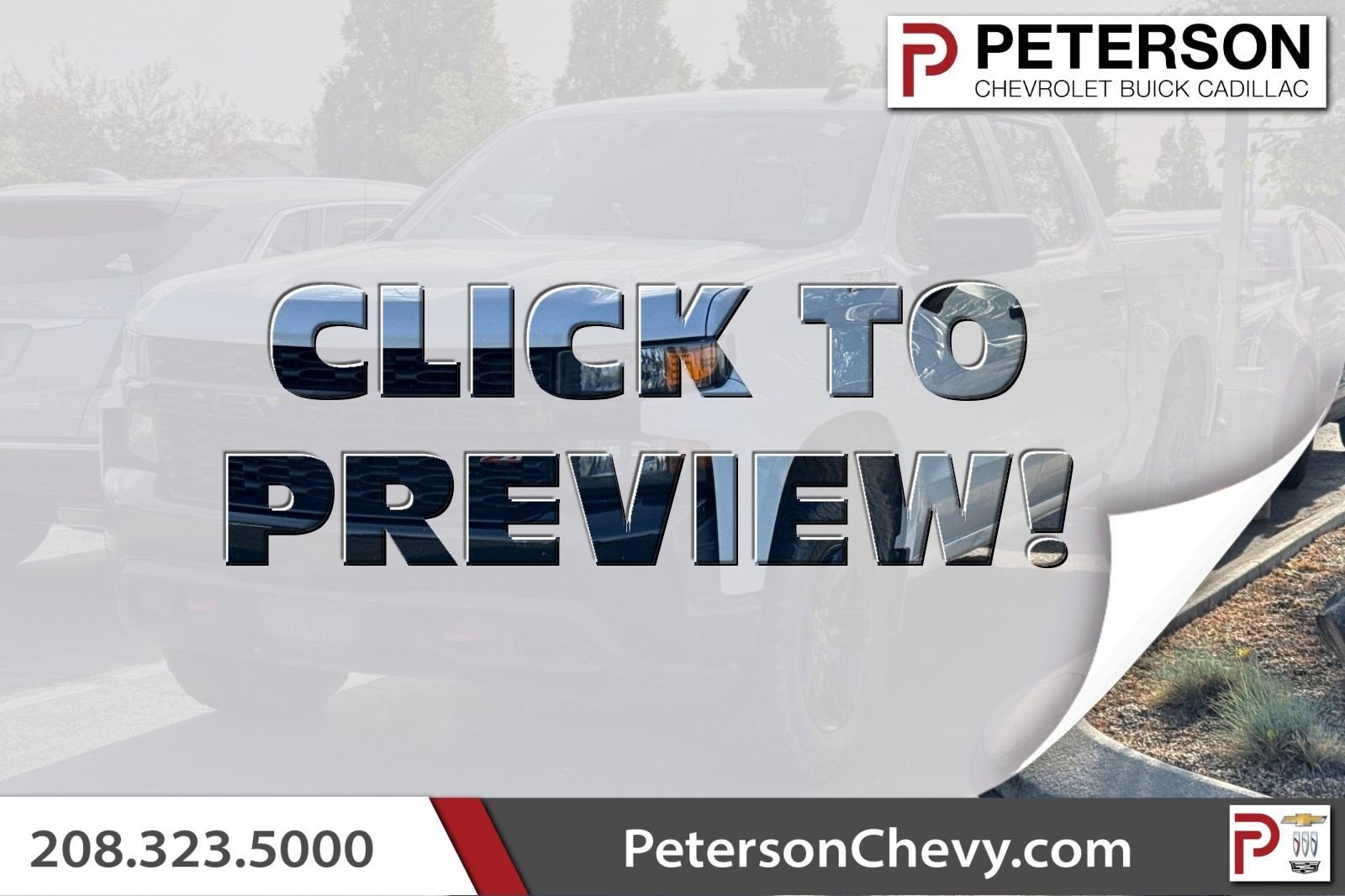 2019 Chevrolet Silverado 1500 Custom Trail Boss